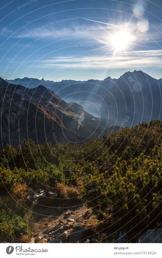 sunray lamp Vacation & Travel Tourism Trip Far-off places Freedom Mountain Nature Landscape Sky Sun Beautiful weather Pine Alps Berchtesgaden Alpes Peak