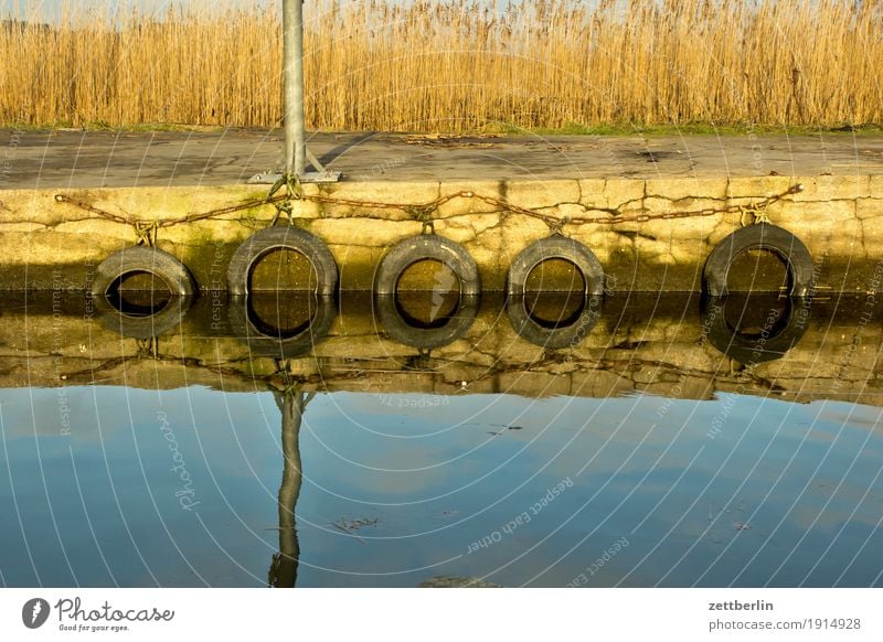 Lake Zicker Relaxation Vacation & Travel Autumn Coast Mecklenburg-Western Pomerania Deserted good for the monk Nature Baltic Sea Rügen Copy Space Off-Season