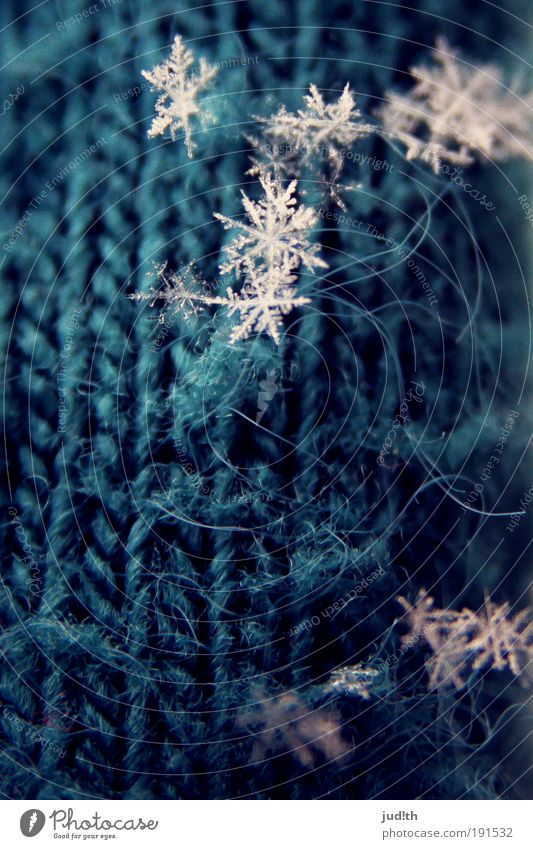 snowflakes Winter Snow Ice Frost Snowfall Blue White Cold Nature Ice crystal Snow crystal Snowflake Star (Symbol) Knitting pattern Wool Gloves Colour photo