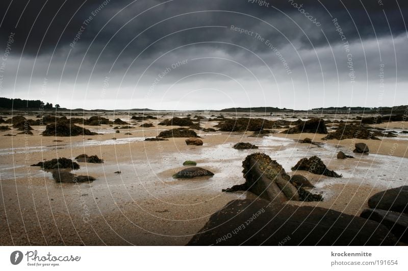 forbidden planet Landscape Sand Sky Clouds Storm clouds Horizon Climate Weather Bad weather Moss Coast Beach Threat France Brittany Low tide High tide Rock