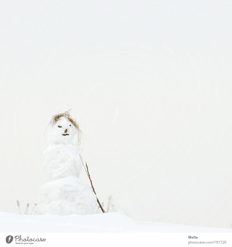 Mrs Snow Leisure and hobbies Playing Snowman Winter Winter vacation Art Sculpture Environment Nature Landscape Sky Climate Climate change Weather Ice Frost