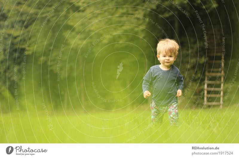 on the way Human being Masculine Child Toddler Boy (child) Infancy 1 1 - 3 years Environment Nature Tree Grass Meadow Forest Going Free Friendliness Small
