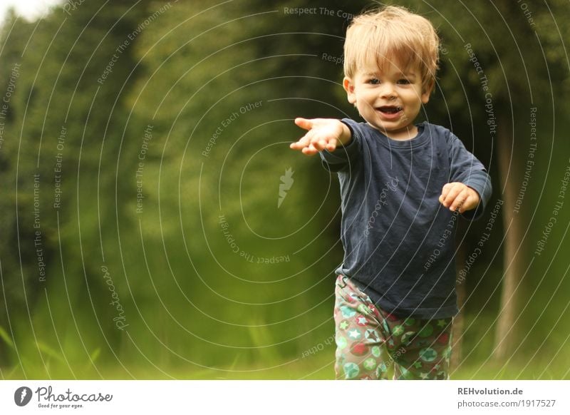 small child on a meadow Human being Masculine Child Toddler Boy (child) Infancy 1 1 - 3 years Environment Nature Tree Grass Meadow Forest Going Free Curiosity