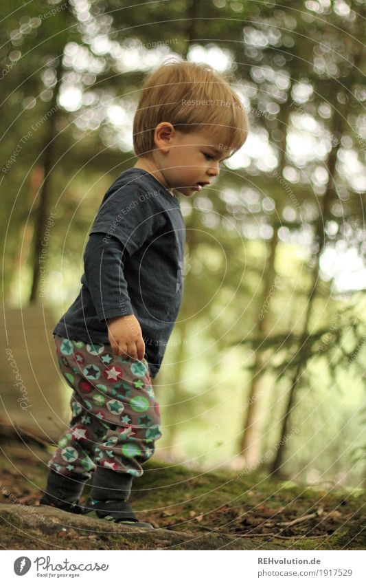 Toddler in forest Curiosity Playing Infancy Boy (child) 1 - 3 years Forest Tree Nature Small naturally Cute Green blurriness Exterior shot Human being Masculine