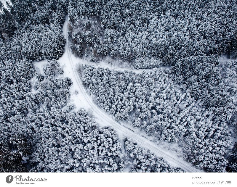 Cutting Nature Landscape Winter Ice Frost Snow Forest Street Lanes & trails Observe Dream Tall Above Under Blue Black White Bird's-eye view Winter forest
