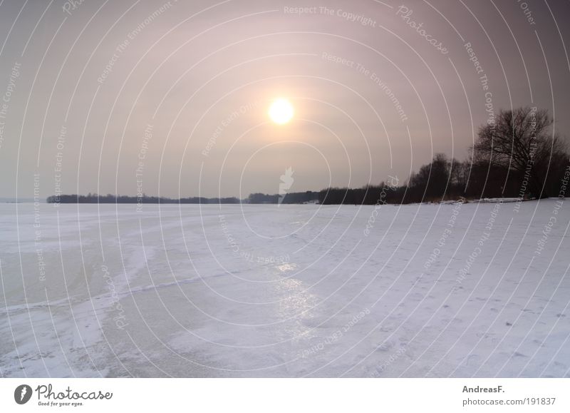 another winter picture Environment Nature Landscape Water Sky Sun Sunrise Sunset Sunlight Winter Ice Frost Tree Lakeside Cold Frozen surface Snowscape