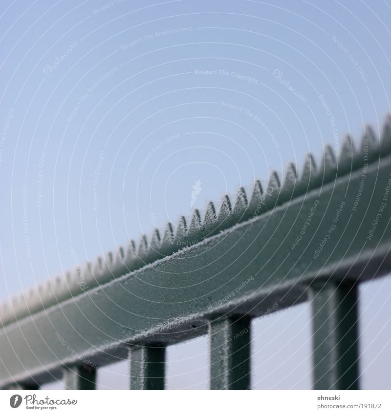 Grisu! Air Sun Winter Climate Weather Beautiful weather Ice Frost Metal Steel Cold Blue Green Fence Zigzag Dragon Colour photo Exterior shot Abstract Pattern