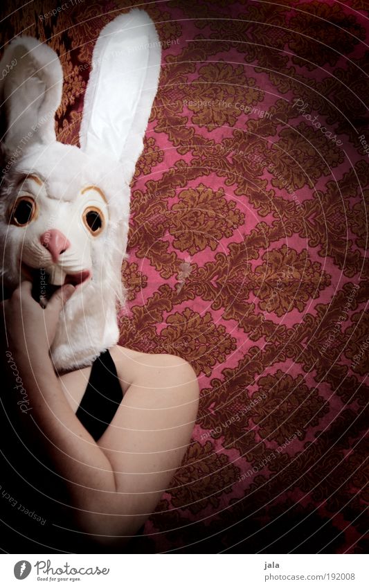 long spoon lady Human being Feminine Woman Adults Funny Hare & Rabbit & Bunny Mask Easter Colour photo Interior shot Copy Space right Artificial light Light