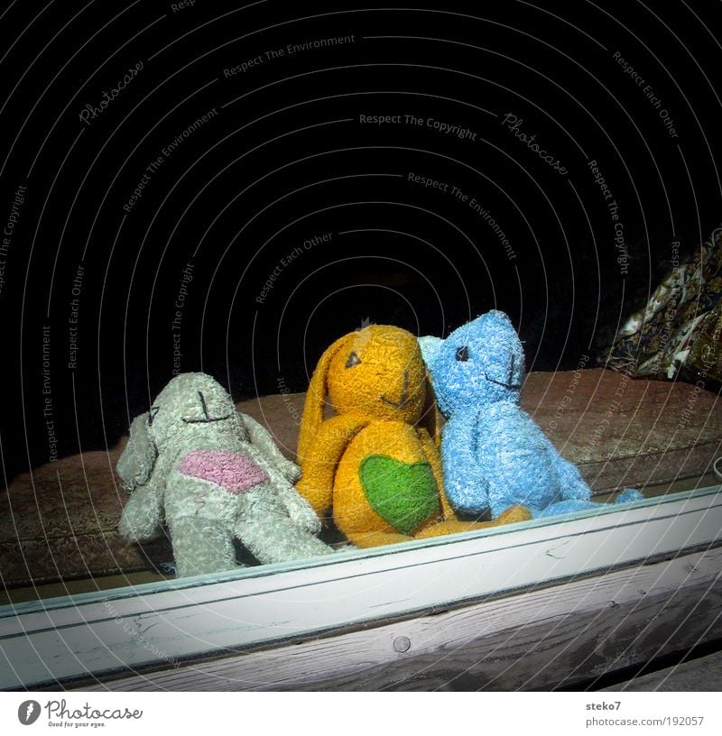 Plush for three Window Teddy bear Cuddly toy Relaxation Dream Uniqueness Break Innocent Attachment Together 3 Hare & Rabbit & Bunny Bear Heart Shop window Cute