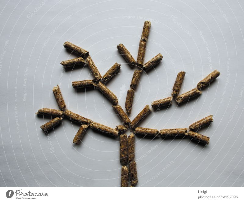 Tree consisting of wood pellets on white background Science & Research Advancement Future Energy industry Renewable energy Environment Nature Winter Climate