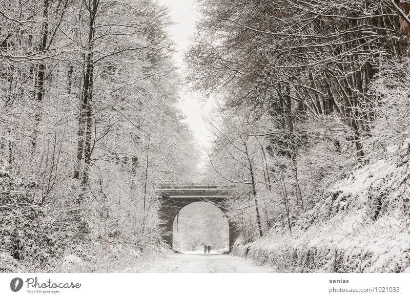 Bicycle path on old railway track in winter Hiking 2 Human being Winter Snow Tree Forest duck Balkan route Mountainous area Wall (barrier) Wall (building)