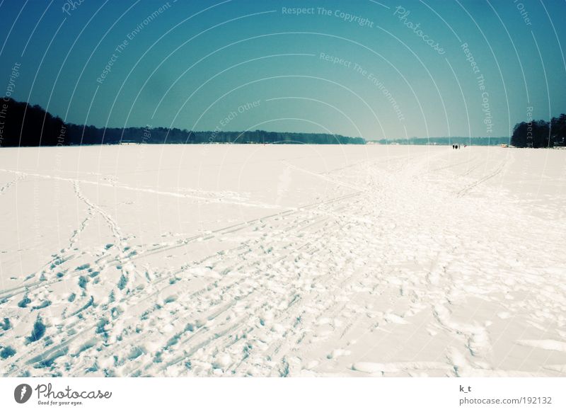river landscape Calm Freedom Winter Snow Sky Cloudless sky Beautiful weather Ice Frost River Havel Relaxation Hiking Infinity Bright Cold Natural Blue White