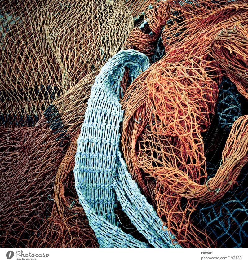 nets Coast Wet Blue Multicoloured Red Net Network Chaos Knot Node Interlaced Line Fishing (Angle) Fishery Harbour Ocean Maritime Catch Fishing net Colour photo