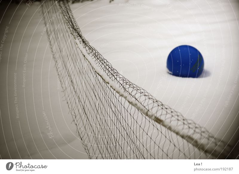 the memory of the summer Ball sports Winter Snow Freeze Cold Hope Colour photo Exterior shot Day