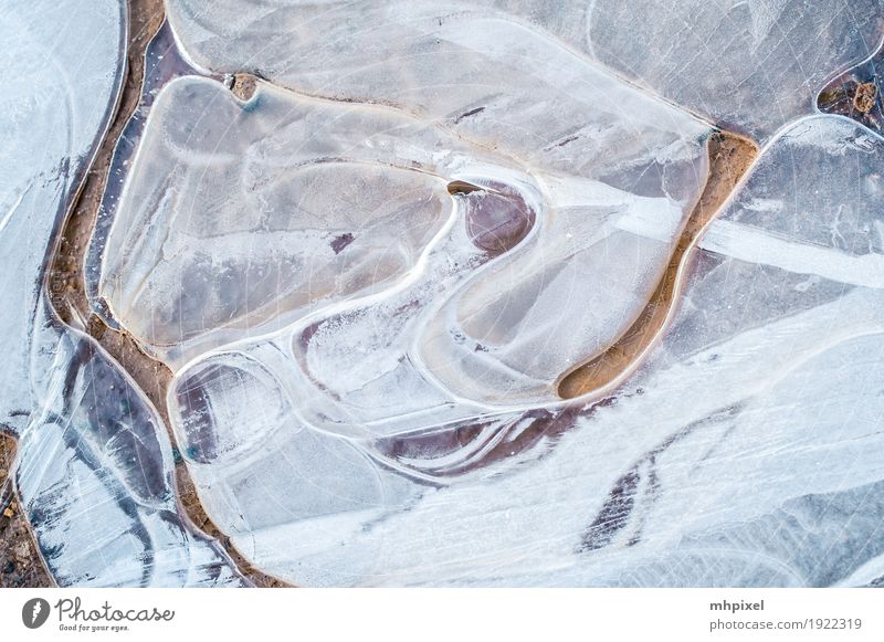 iced Winter Nature Ice Frost Emotions Ice sheet Colour photo Exterior shot Close-up Detail Experimental Abstract Pattern Structures and shapes Day Contrast