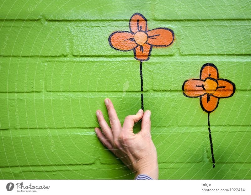 Picking flowers. Joy Leisure and hobbies Hand Flower Wall (barrier) Wall (building) Facade Stone Graffiti To hold on Funny Green Orange Happy Spring fever