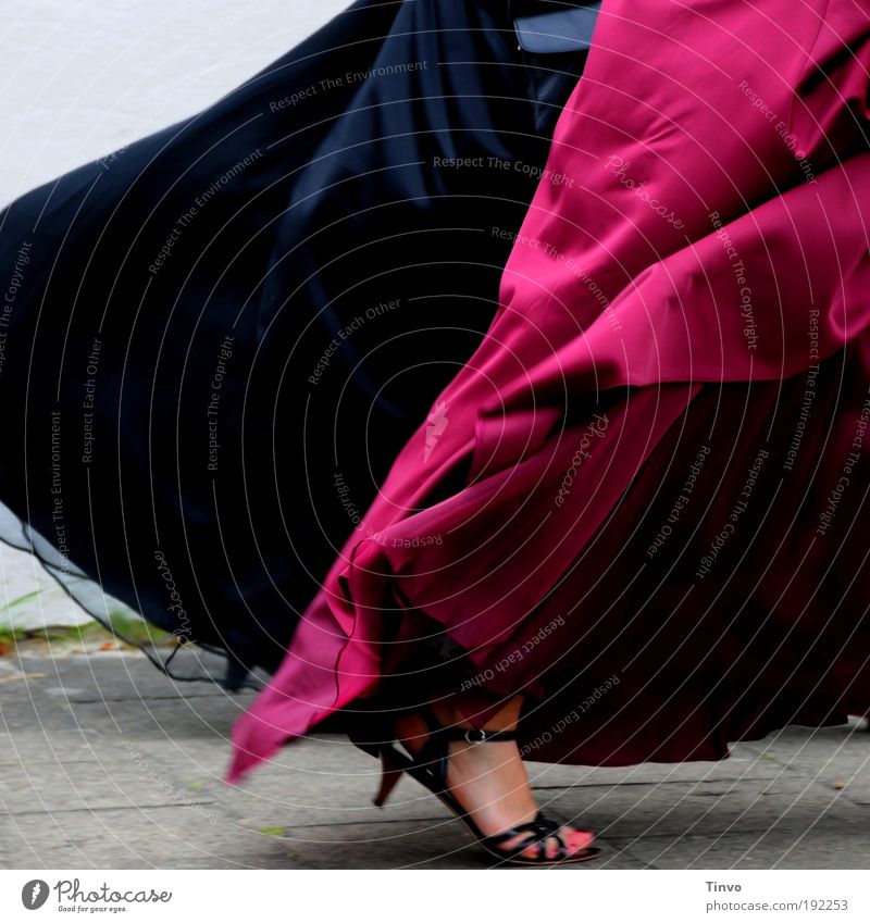 [KI09.1.] Cinderella's evil sisters Luxury Elegant Style Design Feet Fashion Clothing Dress Footwear Dancing shoes Movement Going Cool (slang) Cold Red Black