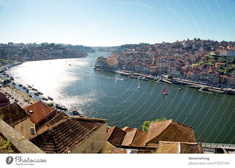 City on the Douro Environment Nature Sky Cloudless sky Sunlight Summer Weather Beautiful weather Warmth Waves River bank Porto Portugal Town Port City Downtown