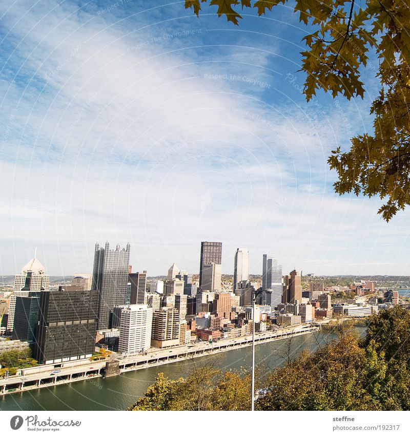 urbanatur Sky Autumn Beautiful weather Tree River bank Pittsburgh USA Port City Downtown Skyline Overpopulated High-rise Bank building Town Colour photo
