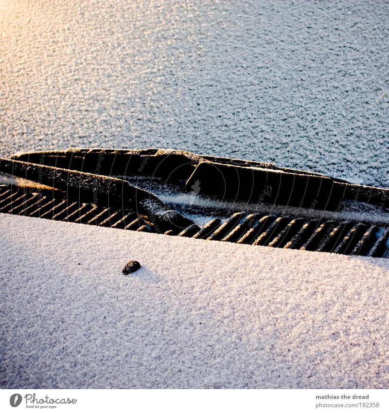 EVERY DAMN MORNING Winter Ice Frost Snow Motoring Vehicle Car Cold Windscreen Windscreen wiper Vent slot Car Hood Scratch Covered Coat Untouched Morning Calm