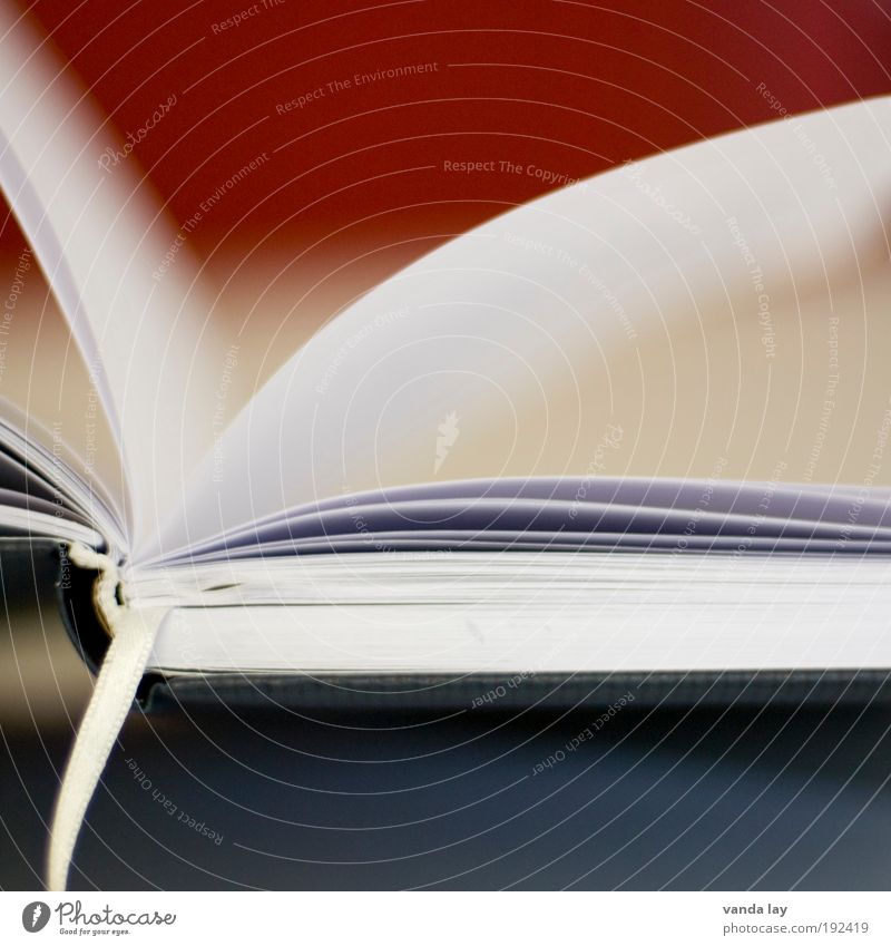 reading pleasure Art Book Library Wisdom Smart Know Bookmark Leaf Paper Page Colour photo Deserted Copy Space top Copy Space bottom Blur Shallow depth of field