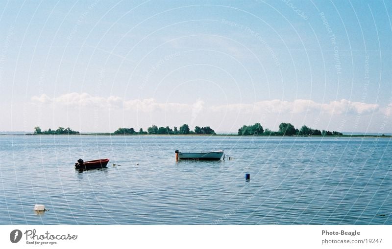 On the A... of the world :-) Watercraft Lake Fehmarn Calm Loneliness Beach Europe Baltic Sea orth Peace sea seaside ocean wave waves Black-headed gull  seagulls