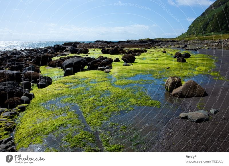 low tide Vacation & Travel Tourism Far-off places Beach Ocean Island Scotland isle of gauze Nature Landscape Water Sky Plant Algae Rock Coast Bay Stone Blue