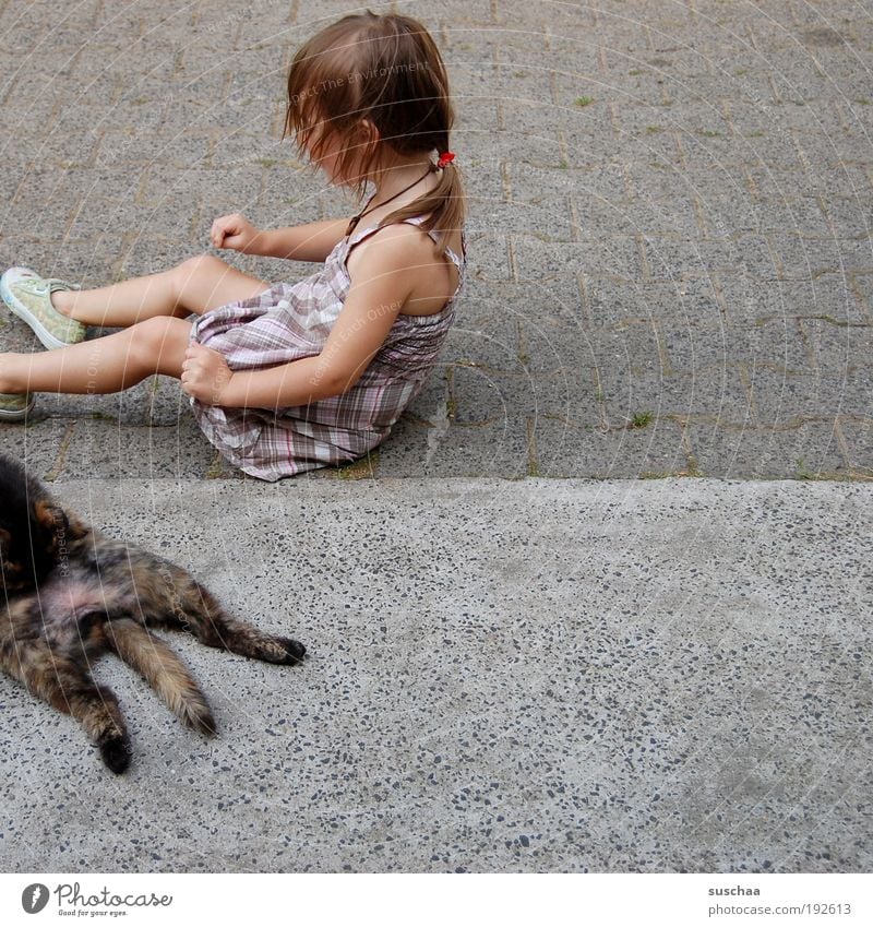 cats and children ... Child Girl Infancy Hair and hairstyles Animal Pet Cat Domestic cat Pelt Concrete Simple Natural Joy Love of animals Life Idyll Arm Legs