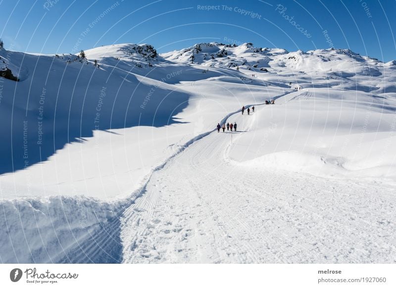 Motorway at 2000m Tourism Winter Snow Winter vacation Mountain Hiking Landscape Cloudless sky Horizon Climate Beautiful weather Rock monastic valley