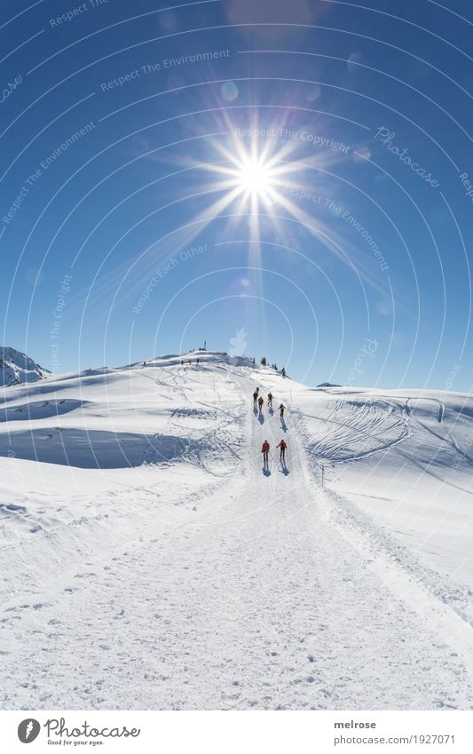 Sonnenstern - Hike Vacation & Travel Tourism Winter vacation Mountain Hiking Landscape Cloudless sky Climate Beautiful weather Ice Frost Snow Rock mothersöchle