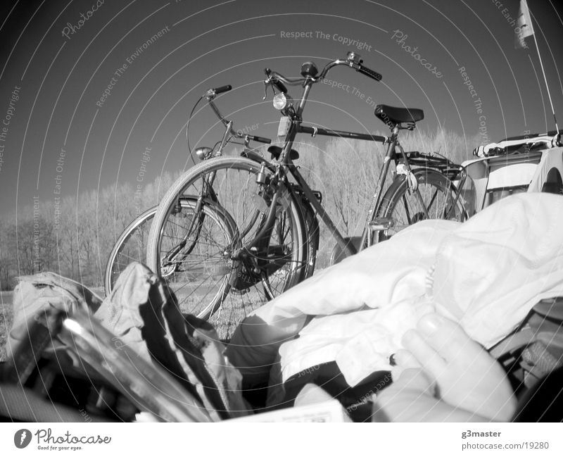 Gazelles in the park Park Poplar Infrared Toes Leisure and hobbies Dutch bicycles Black & white photo bicycle trailers