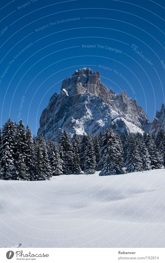 Dolomites & Mountains Environment Nature Landscape Water Sun Sunlight Winter Weather Beautiful weather Ice Frost Snow Old White cloudstress Tree Stone Sky Blue