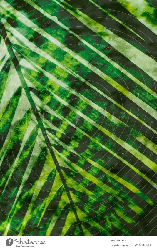 Textures of Tropical Plants Life Well-being Senses Meditation Spa Art Work of art Painting and drawing (object) Nature Fern Foliage plant Exotic Forest Esthetic