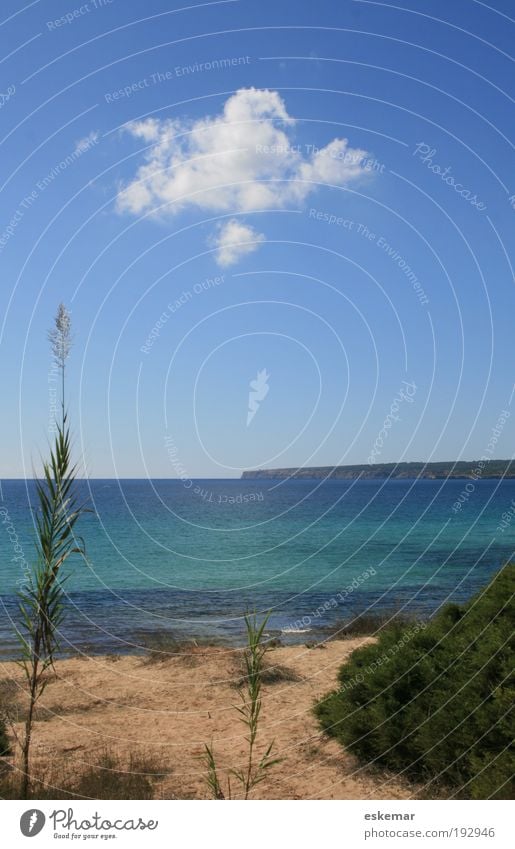 beautiful cloud Nature Landscape Sand Sky Sunlight Summer Beautiful weather Plant Coast Beach Ocean Mediterranean sea Island Formentera Balearic Islands Spain