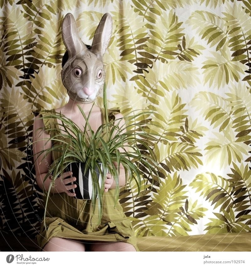 i love green stuff Human being Feminine Woman Adults Plant Foliage plant Hare & Rabbit & Bunny Sit Funny Mask Carnival costume Easter Green Colour photo