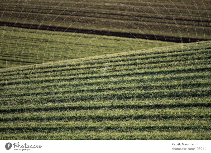 landscape lines Senses Relaxation Calm Far-off places Freedom Environment Nature Landscape Earth Climate Climate change Grass Field Spring fever Determination