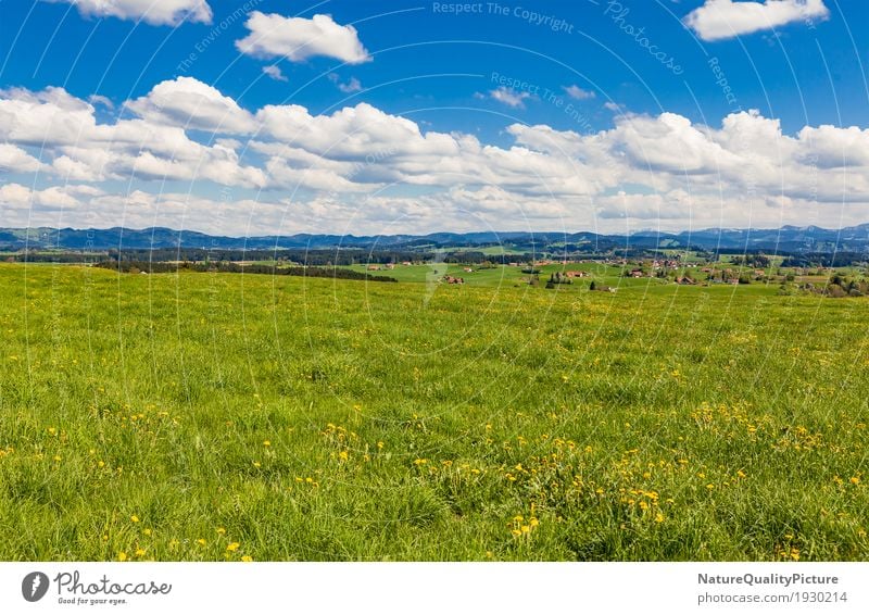 meadow in allgau Style Healthy Alternative medicine Allergy Life Harmonious Senses Relaxation Calm Meditation Playing Vacation & Travel Tourism Far-off places