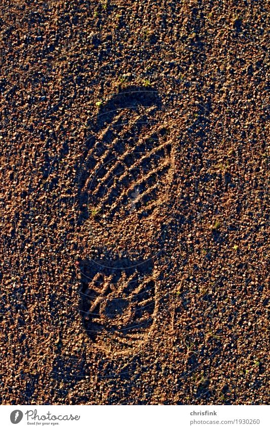 Sole imprint in sand Hiking Climbing Mountaineering Construction site Human being Feet Sand Lakeside River bank Footwear Going Running Brown Colour photo