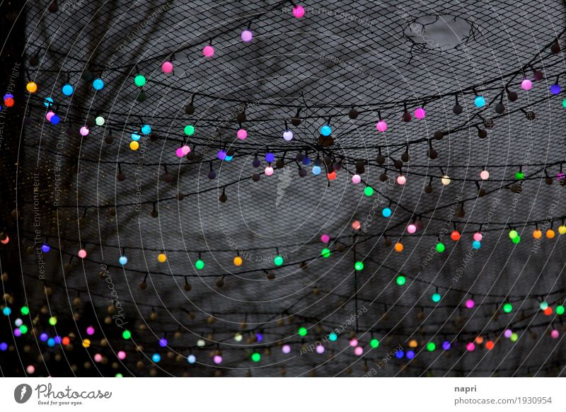 light points Decoration Fairy lights Dark Life Network Moody Untidy Point of light Black Multicoloured Night life Lighting Above Colour photo Exterior shot