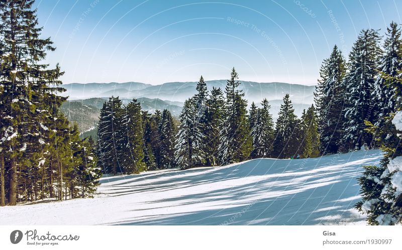View from the Unterberg to the foothills of the Alps Snow hiking Skiing Winter Landscape Mountain Hill Looking Fresh Clean Blue Green Tourism Blue sky Austria