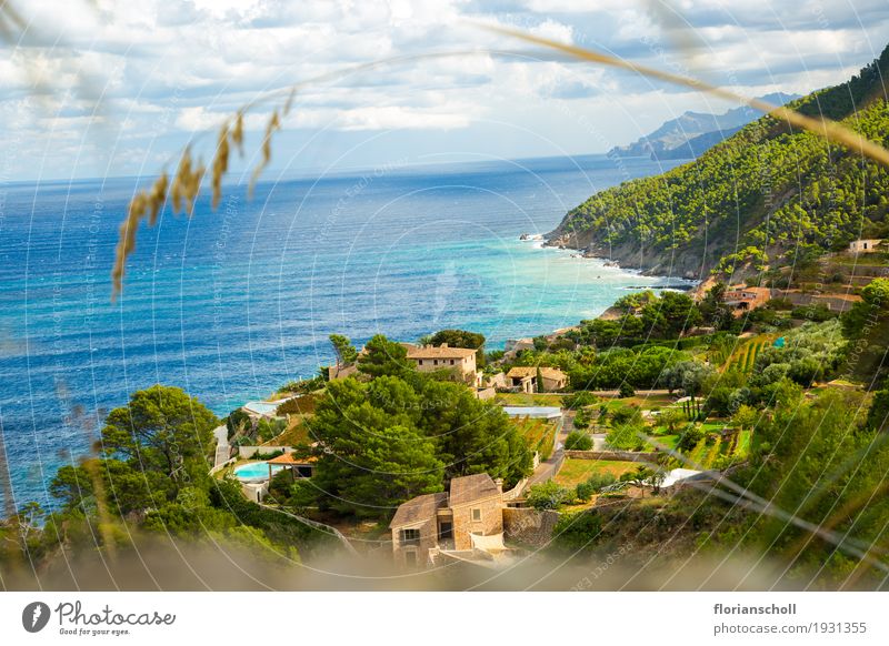 Coast line on Serra de tramuntana, Palma de Majorca Vacation & Travel Tourism Summer Nature Landscape Plant Sky Climate Grass To enjoy Blue Yellow Green