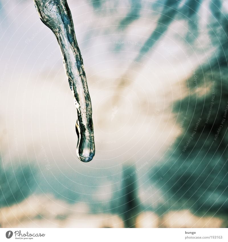 frigor Environment Nature Elements Drops of water Winter Climate Ice Frost Freeze Cold Icicle Thaw Hang To fall Ice crystal Spring Colour photo Exterior shot