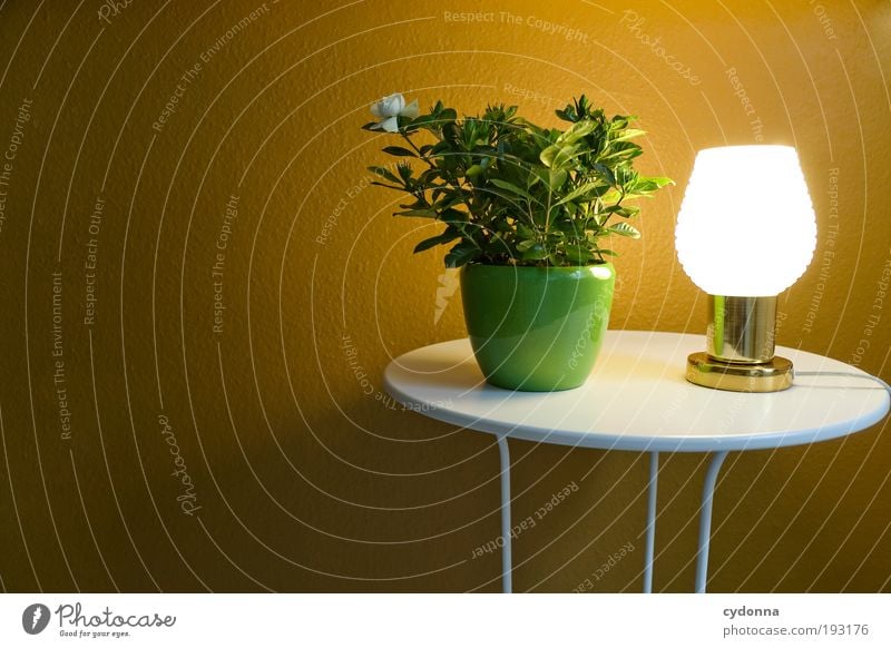 light therapy Style Design Calm Decoration Lamp Table Wallpaper Plant Pot plant Idea Luminosity Colour photo Interior shot Deserted Copy Space left
