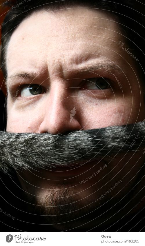 Luigi Human being Masculine Man Adults Face Facial hair 1 Moustache Exceptional Funny cat's tail Colour photo Interior shot Artificial light Shadow