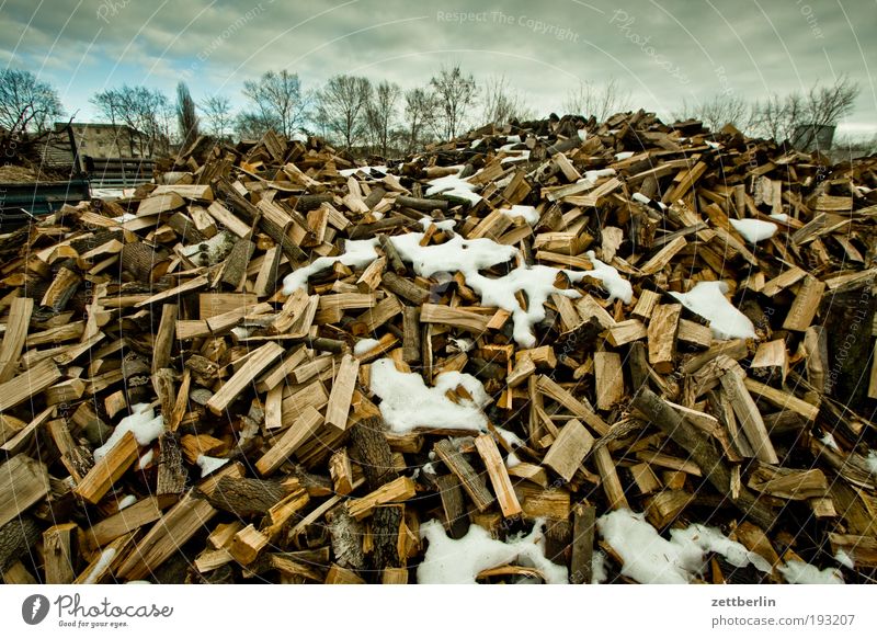 wood Wood log Firewood Heat Warm period Stack Heap Organic produce Organic farming Biomass February Multiple