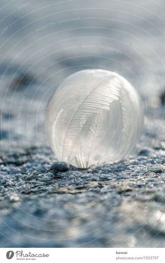 chill Harmonious Calm Leisure and hobbies Playing Air Winter Ice Frost Soap bubble Lie Exceptional Fresh Glittering Cold Round Ice art Delicate Frozen