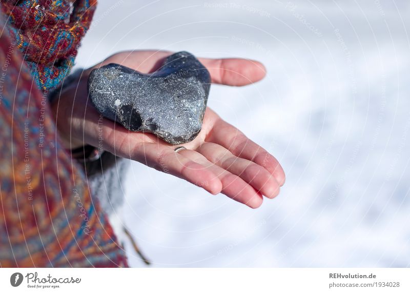 Heart in your hand Hand 1 Human being Snow Stone To hold on White Trust Protection Safety (feeling of) Sympathy Love Romance Responsibility Attentive