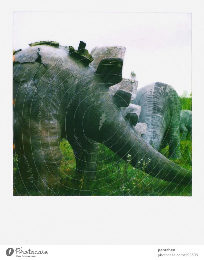 Polaroid shows the backs of dinosaur figures in a closed amusement park. Broke Leisure and hobbies Amusement Park Sky flowers Grass Meadow Animal Wild animal