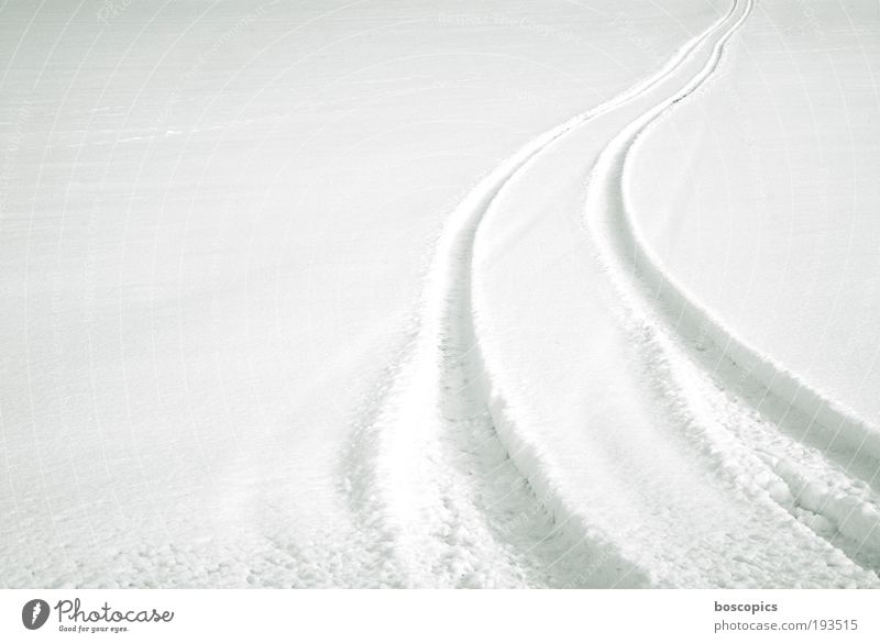 white Landscape Winter Field Motoring Lanes & trails White Environment Skid marks Snow Offroad Colour photo Deserted Copy Space left Morning Day