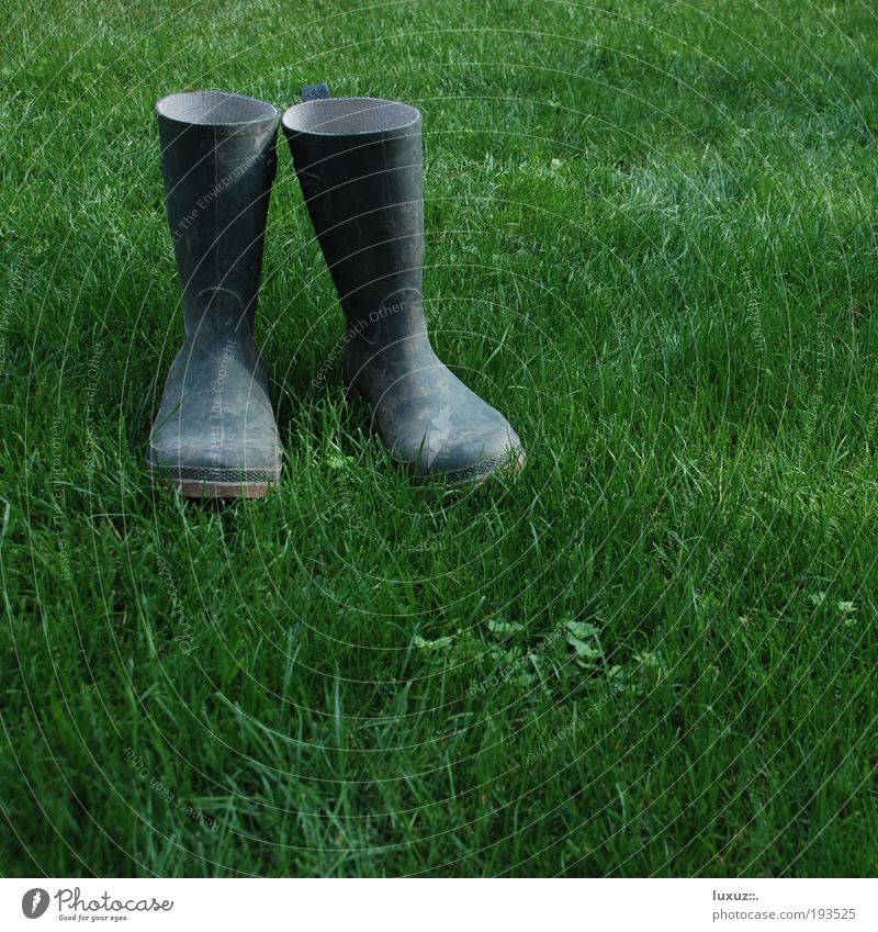 North Sea pumps Relaxation Garden House building Redecorate Gardening Construction site Environment Meadow Boots Rubber boots Sustainability Footwear Green